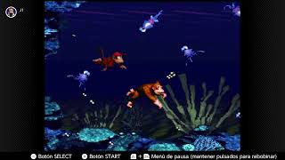 Donkey Kong Country Croctopus Chase [upl. by Siro]