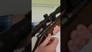 Norinco Jw15 vs CZ452 firearms gun shooting hunting shootingsports [upl. by Domash]