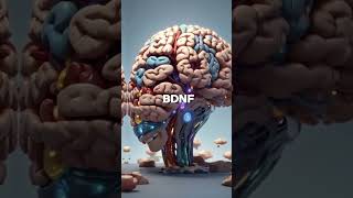 Top 3 Foods to Promote Brain Cell GrowthBrainHealth BDNF food nutrition healthydiet [upl. by Airuam75]