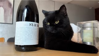 Syrah is boring 🍷 [upl. by Enyawud]