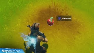 Consume Foraged Items All Locations Guide  Fortnite Hide and Seek Challenge [upl. by Hawger]