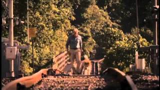 Hachiko A Dogs Story Movie Trailer [upl. by Calan]