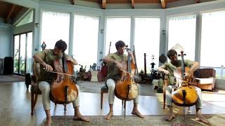 Georgy Gusev  Starlings Over Rome  Cello Trio ft MA100 and MA1000 Microphones [upl. by Anavahs]