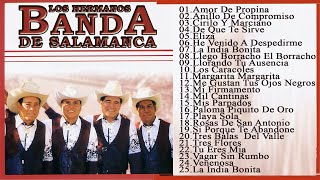 Los Hermanos Banda 30 Grandes Exitos Inolvidables  Los Hermanos Banda Sus Mejores Canciones [upl. by Ahtis24]