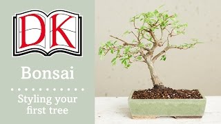 Bonsai Styling Your First Bonsai Tree [upl. by Gregorius]