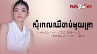 សុំពេលឈឺចាប់មួយគ្រា  Meas Soksophea MUSIC LYRICS  FAFABae55 [upl. by Eimmij87]