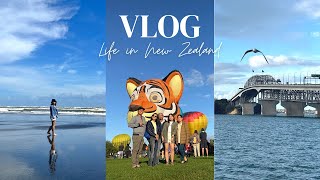 New Zealand Vlog  Balloons over Waikato Karioitahi Beach Harbour Bridge Pathway lots of food [upl. by Socrates]