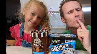 BREYERS vs DREYERS Cookies amp Cream Meltdown [upl. by Nomyt]