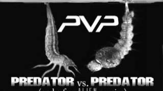 Predator versus Predator [upl. by Chadbourne]