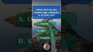 General knowledge quiz part 107 generalknowledge generalknowledgequiz challenge quiz gk trivia [upl. by Bunting]