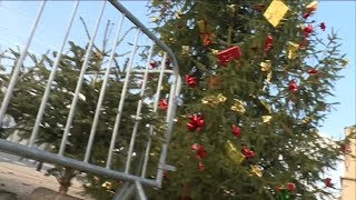 Châteauroux  collecte des sapins de Noël usagés [upl. by Fry602]