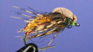 Amber Caddis Pupa [upl. by Sheilah]