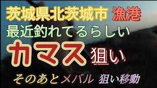 北茨城市の漁港でカマス狙いその後移動でメバル [upl. by Towney201]