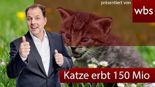 Erbt Lagerfelds Katze wirklich 150 Millionen Euro  Rechtsanwalt Christian Solmecke [upl. by Lehacim]