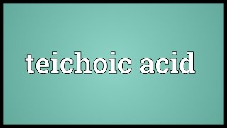 Teichoic acid Meaning [upl. by Romeo]