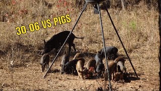 THANKSGIVING WEEK HUNT 3006 VS HOG [upl. by Soelch]