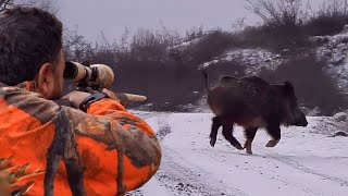 Ultimate BOAR HUNT Adventure in WINTER EPIC Rifle Shots at Wild HOGS hunting wildlife [upl. by Glori]