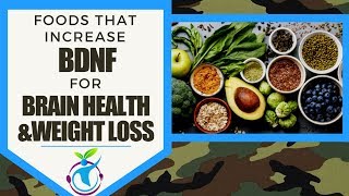 Foods That Increase BDNF for Brain Health amp Weight Loss [upl. by Harragan]