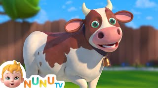 The Cow song  More Nursery Rhymes amp kids Songs  NuNu Tv [upl. by Malinda291]