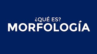 ¿Qué es la MORFOLOGÍA [upl. by Oralie]