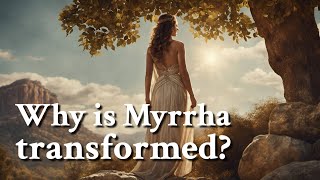 Why is Myrrha transformed Greek Mythology Story [upl. by Aimil516]