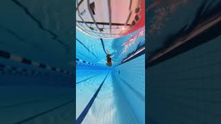 Smooth and efficient freestyle swimming swimming [upl. by Becky]