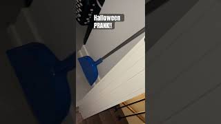 I PRANKED MY GRANDDAUGHTER BEST PRANK EVER SHES SCARED OF SPIDERSpranks prankprankster spider [upl. by Latini]