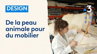 De la peau animale pour la fabrication de tapis et mobilier haut de gamme [upl. by Natika540]