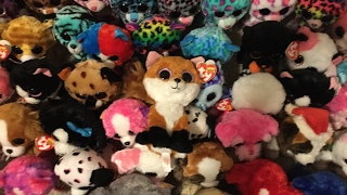 Beanie Boo Collection 250  2017 [upl. by Bultman133]