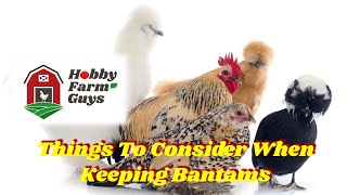 Bantam Chickens Special Considerations When Keeping Small Breeds [upl. by Marela718]