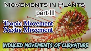 Induced Movements of Curvature in Plants  Tropic Movements  Nastic Movements  AM Biologie Notes [upl. by Notsehc]