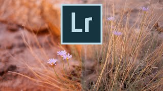 Learn to make the BEST Lightroom presets [upl. by Kaylyn]