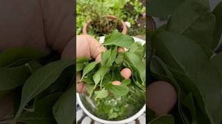 Regrow Wolfberry leaves cutting skills cuttingskills vegetablecarving cuttingvegetable cutting [upl. by Voleta]