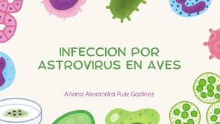 Infección por Astrovirus en Aves  Virología [upl. by Kovar]