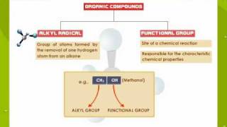 Functional Groups in Organic Compounds [upl. by Majka]