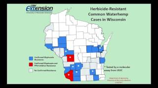 Practical Weed Management for LowMargin Years [upl. by Brigette]