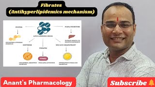 Fibrates Antihyperlipidemics Mechanism [upl. by Niliac125]