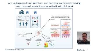 High burden of viruses and bacterial pathobionts drives heightened nasal innate immunity in children [upl. by Xuaeb47]