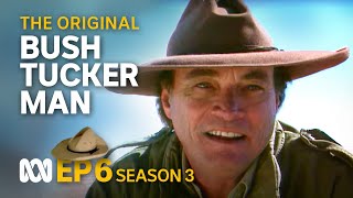 Is there unmined gold in Central Australia 🤠🗺️  Bush Tucker Man  S3 EP6  ABC Australia [upl. by Runstadler]