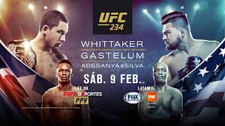 UFC 234 Whittaker vs Gastelum  Título Peso Medio [upl. by Kiehl]