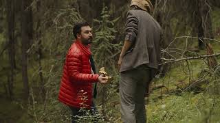 Mushroom Foraging with Chefs Darren MacLean  Aaron Bludorn in Alberta Canada [upl. by Jahdal664]