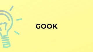 What is the meaning of the word GOOK [upl. by Francois]