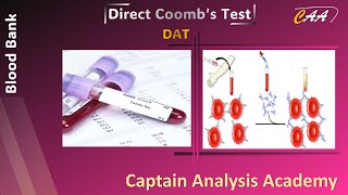 Direct Coombs Test DAT نظرى عملى [upl. by Mlawsky]