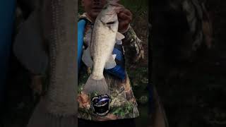 bassfishing fishing carp trollface sigma rule bass fishing [upl. by Aohk641]