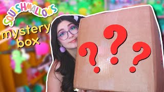 I bought MORE official Squishmallow mystery boxes [upl. by Ayahc]