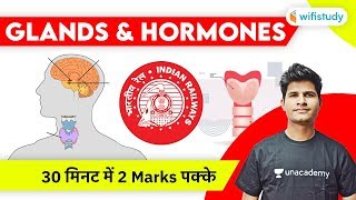 Glands amp Hormones in Human Body  Hormones amp Glands Explained by Neeraj Jangid [upl. by Ttimme]