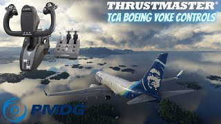 ✈️ Get Your PMDG Boeing 737 Controls Correct in MSFS ✈️ Thrustmaster TCA Boeing Edition [upl. by Nahguav544]