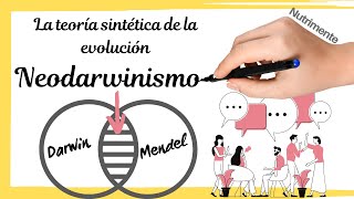 Neodarwinismo  TEORÍA SINTÉTICA de la EVOLUCIÓN [upl. by Niko575]