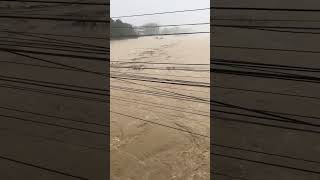 MARIKINA RIVER OVERFLOW lokalcebuano [upl. by Leksehcey229]