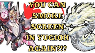 I SWAPPED DECKS MID MATCH IN YUGIOH REGIONALS yugioh [upl. by Ayrb413]